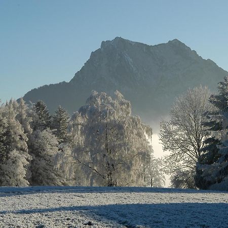 Hotel Altmuensterhof Eksteriør billede