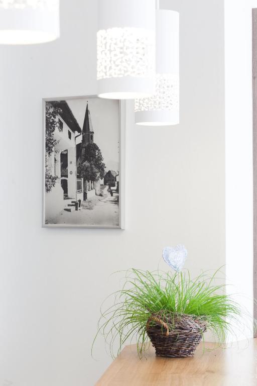 Hotel Altmuensterhof Eksteriør billede